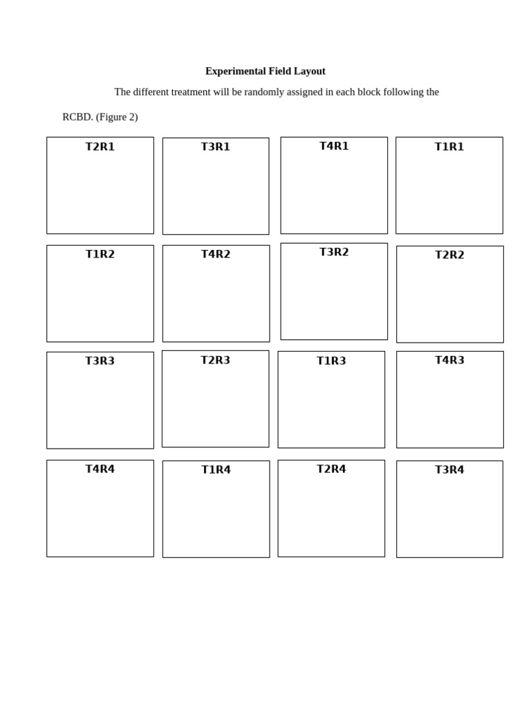 RCBD Experimental Field Design | PDF