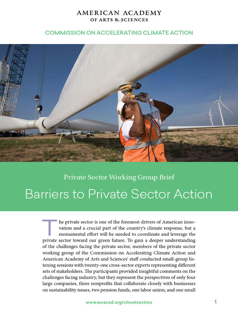 Climate Private Sector Brief | PDF | Climate Change Mitigation ...