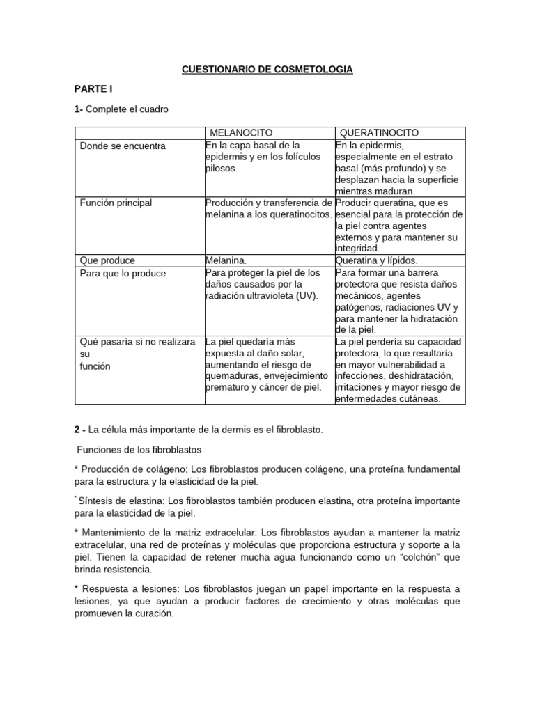 Cuestionario sobre Células de la Piel | PDF | Protector solar | Tejido ...