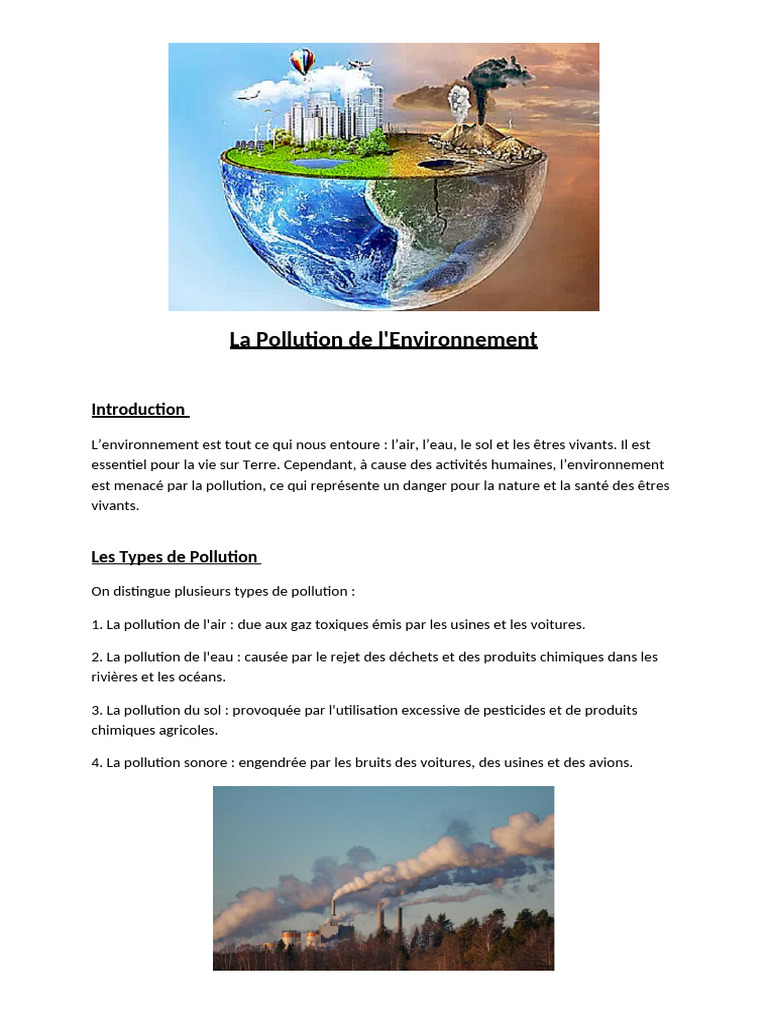 Types et Solutions de Pollution Environnementale | PDF