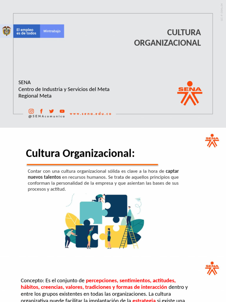 Cultura Organizacional | PDF | Cultura organizacional | Business