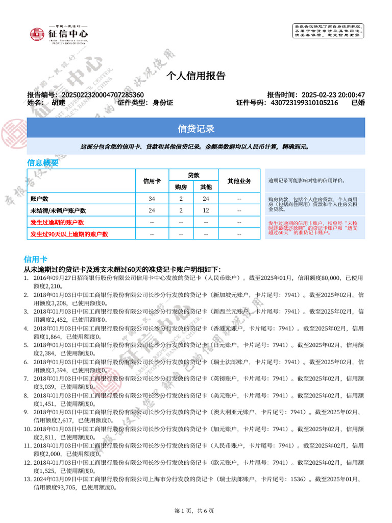 个人信用报告| PDF