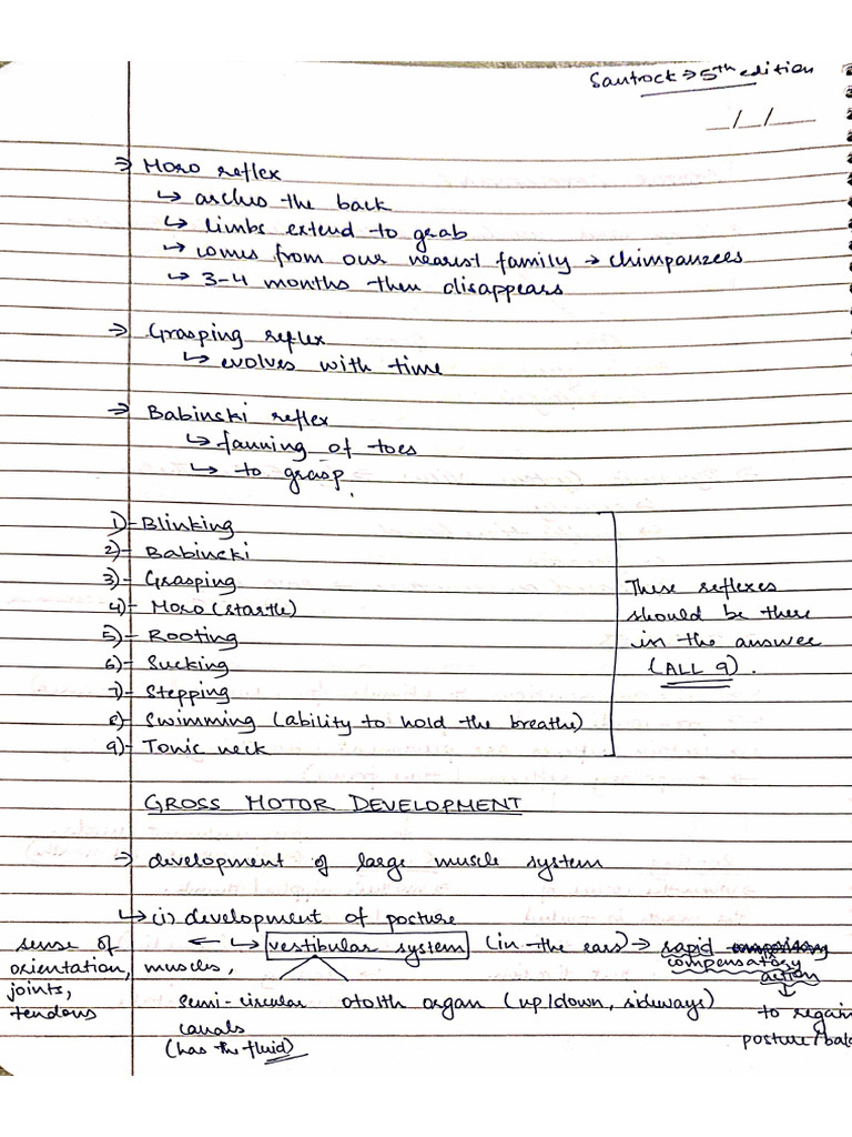 Developmental Unit 2 | PDF