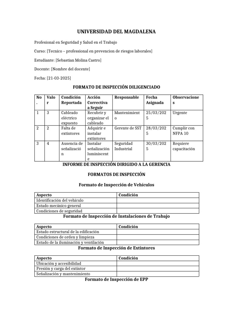 Informe de Inspección de Seguridad Laboral | PDF