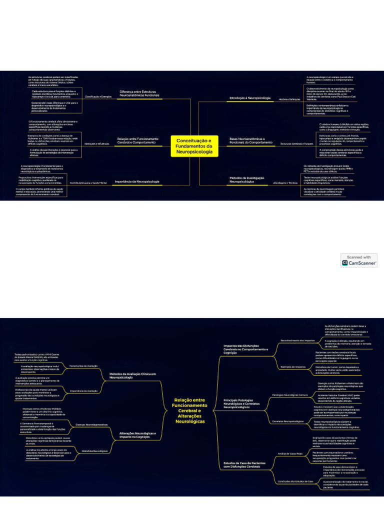 Mapa mental unidade 1 e 2 | PDF
