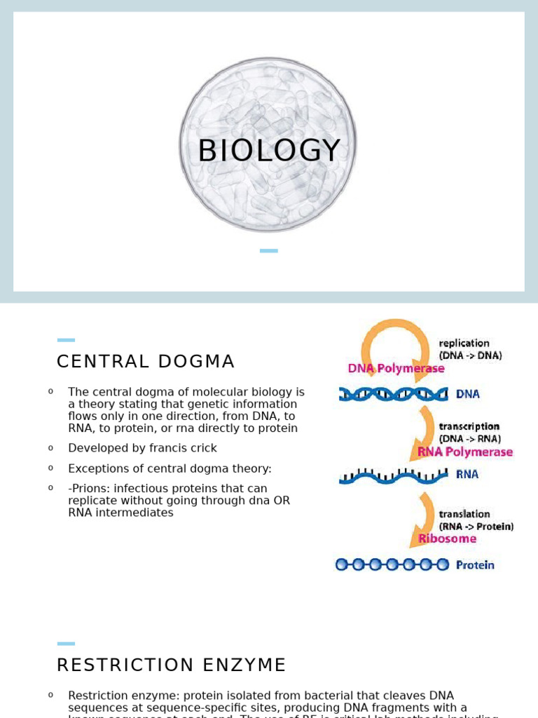 154 - Biology Session 1 | PDF | Molecular Cloning | Dna