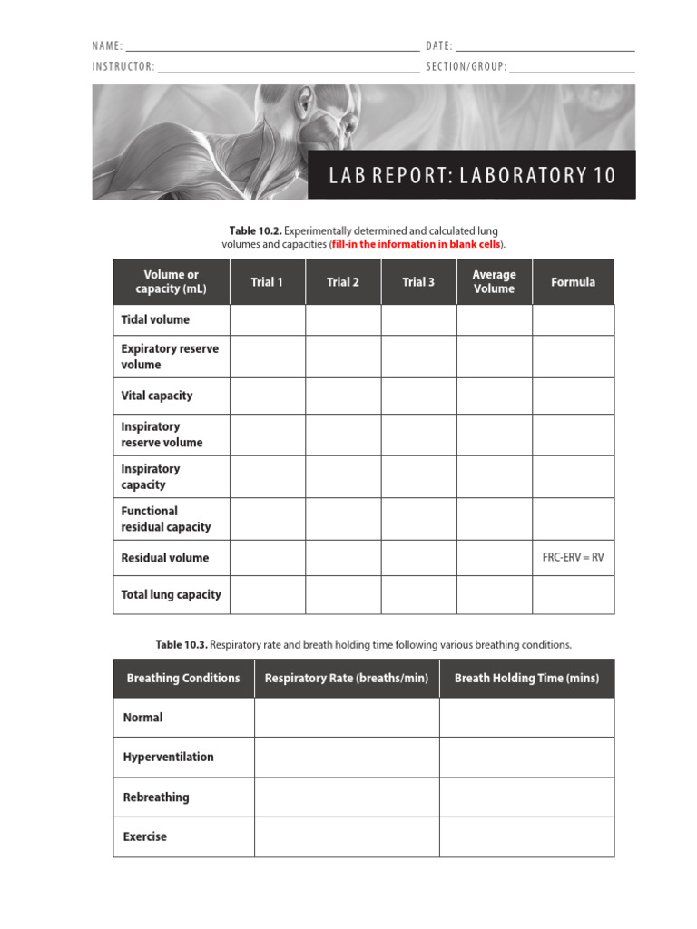 EDITED Laboratory 10-Lab Report | PDF