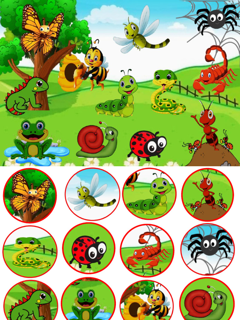 Bichos | PDF