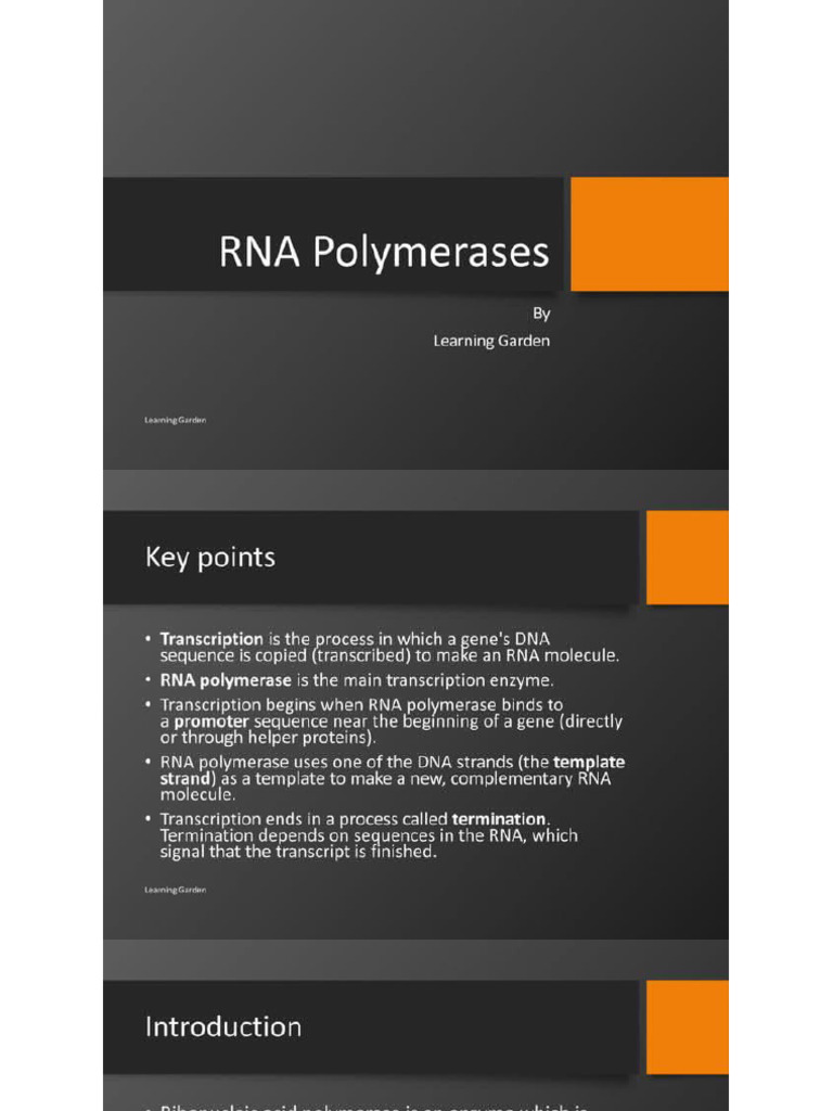 Rna Polymerase | PDF