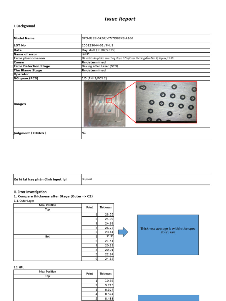 Issues Report | PDF