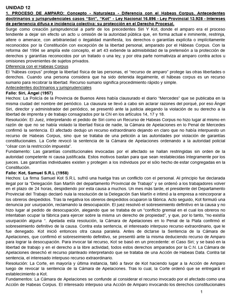 Proceso de Amparo: Conceptos y Casos | PDF | Habeas corpus | Ley Pública