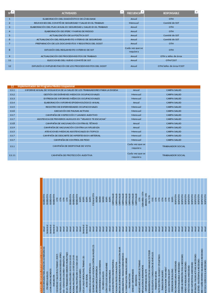 Plan Anual SST 2025 | PDF | La seguridad | Seguridad y salud ocupacional