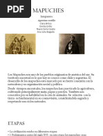 Características del pueblo mapuche | PDF | Chile