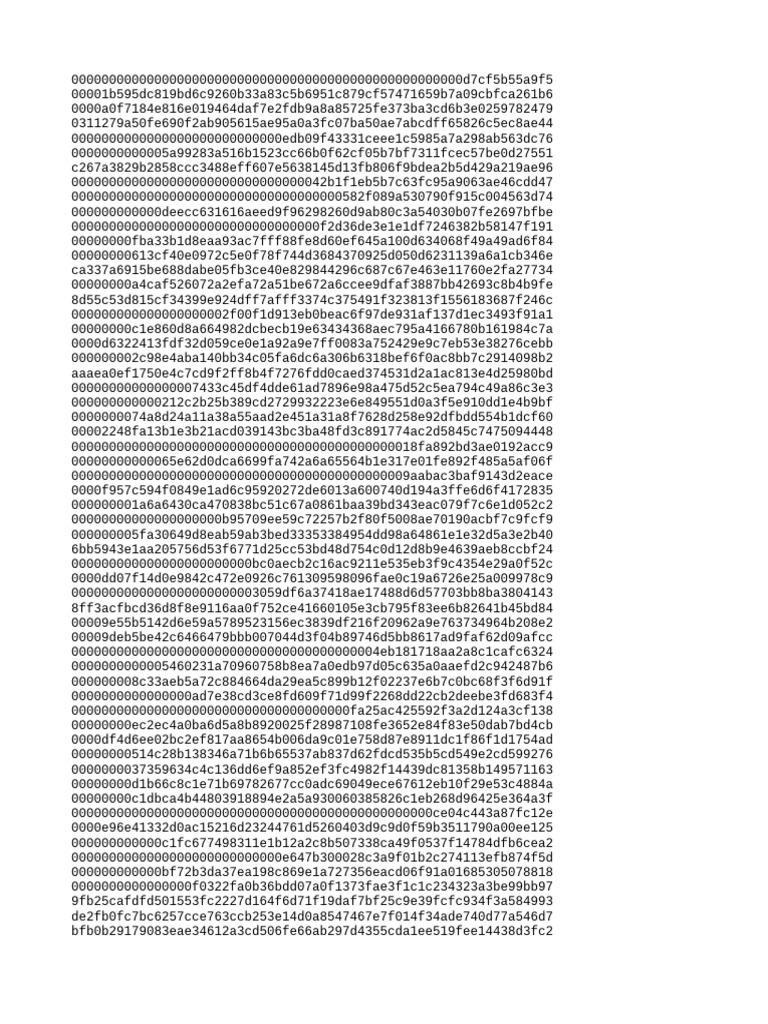 Document with Hexadecimal Data | PDF