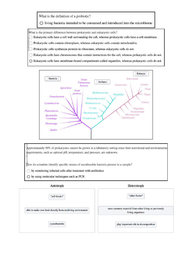 Bio 102 Chapter 17 and 24 | PDF