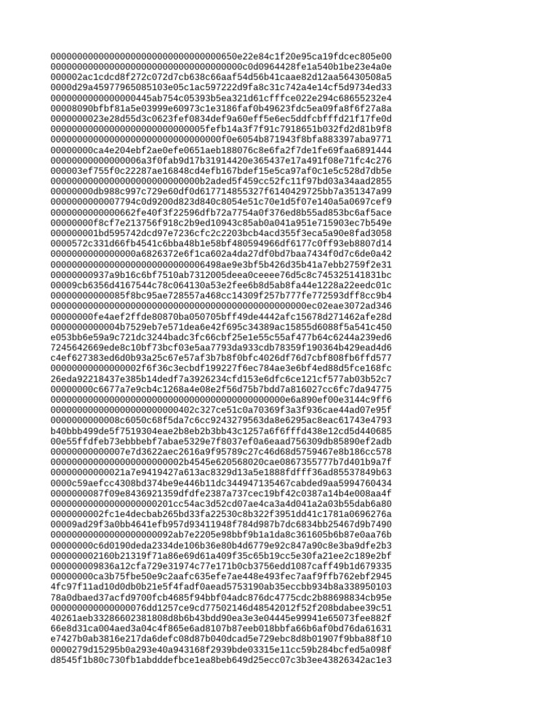 Document with Hexadecimal Data Entries | PDF