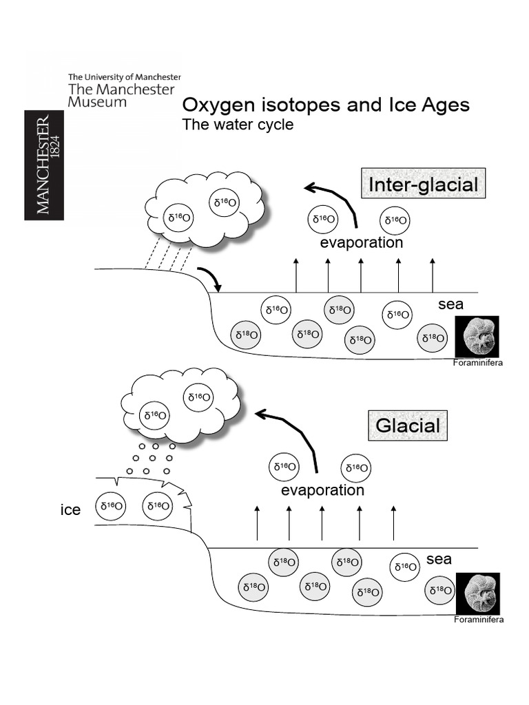 Oxygen Isotopes On Ice Age | PDF