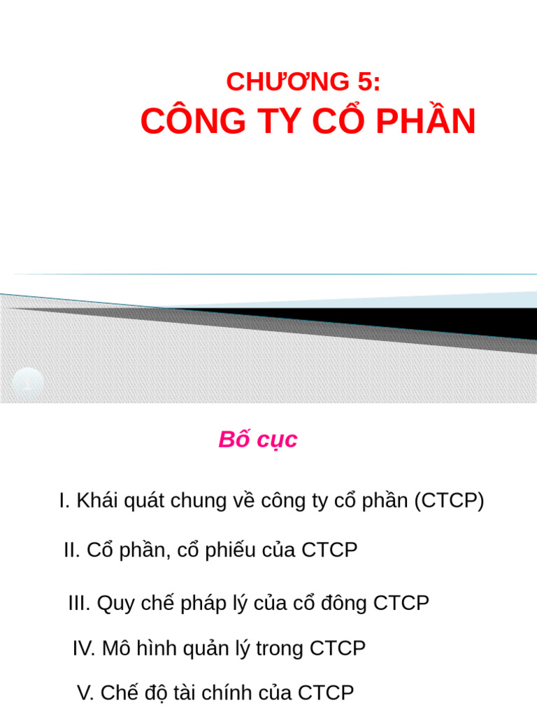 Chuong 5 Cong Ty Co Phan | PDF