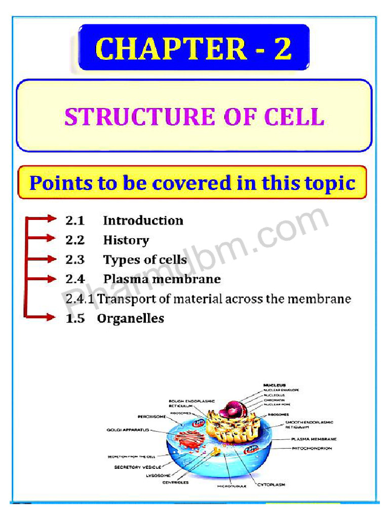 Human Anatomy And Physiology Chapter 2 Pdf