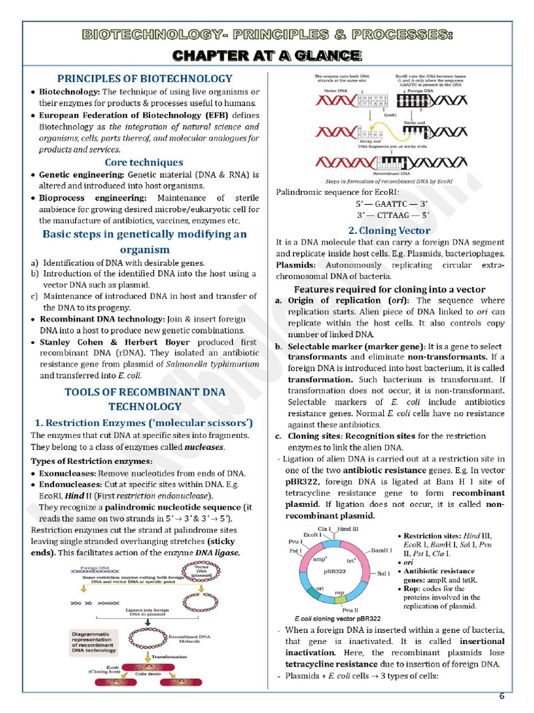 11 Biotechnology-Principles N Processes-Capsule Notes | PDF
