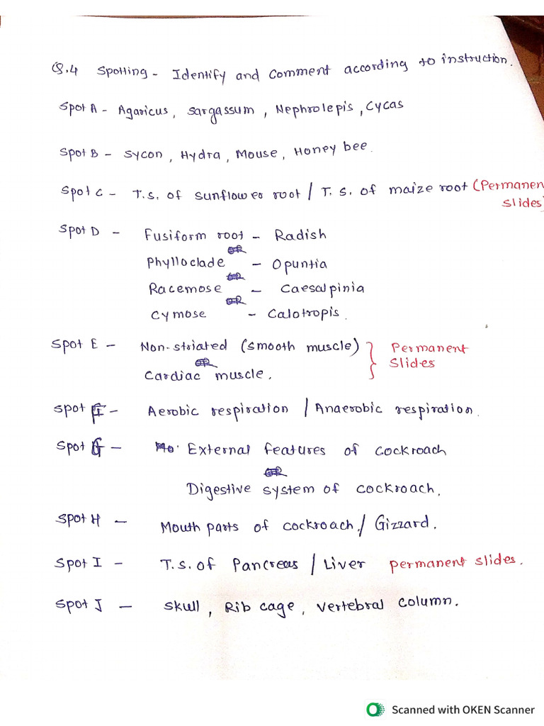 Question No 4 | PDF