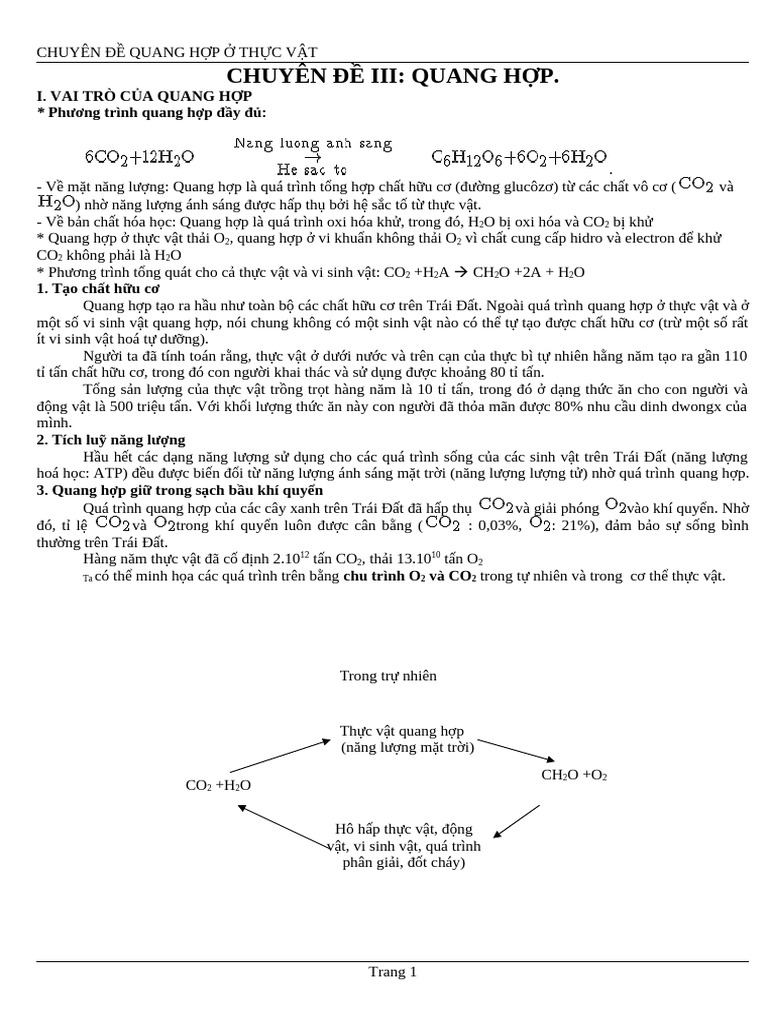 Quang H P | PDF