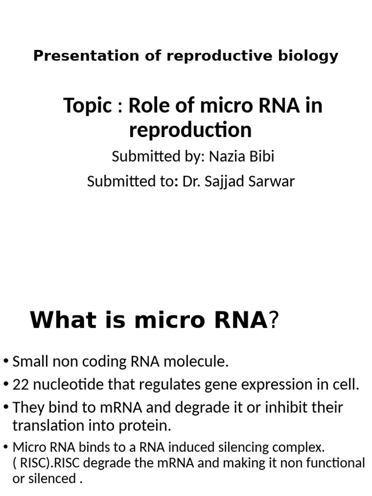 Micro RNA | PDF | Micro Rna | Rna