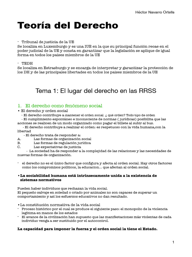 Apuntes Teoría del Derecho I | PDF | La Ley natural | Moralidad