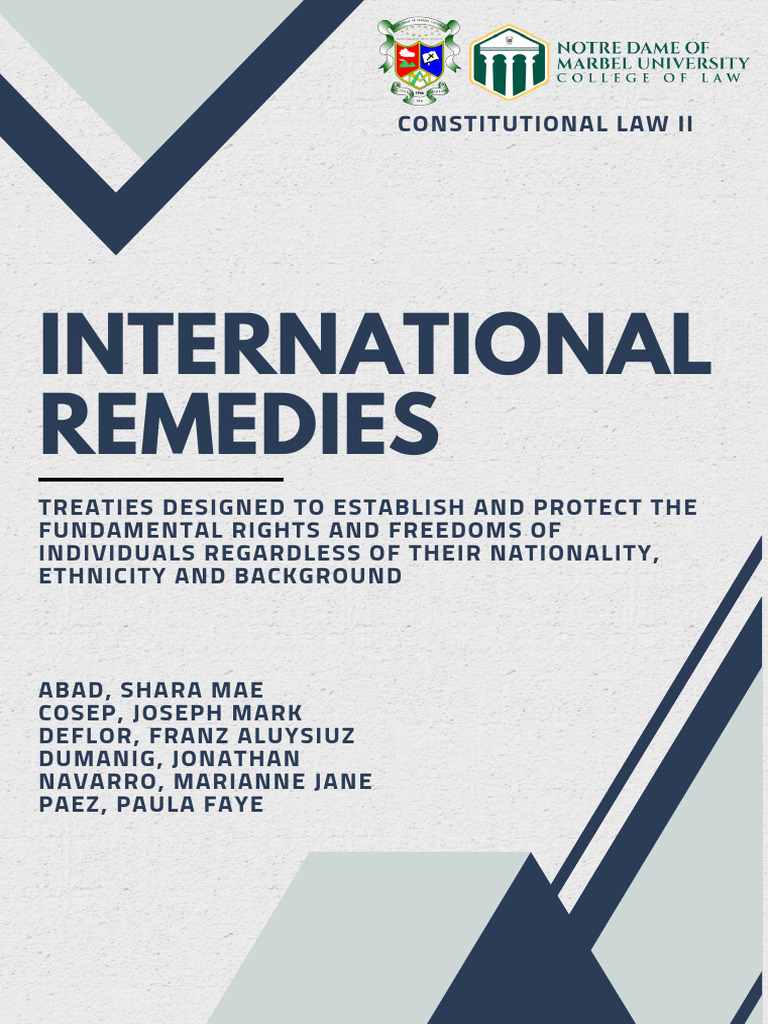 International Human Rights Remedies | PDF | International Law | Treaty