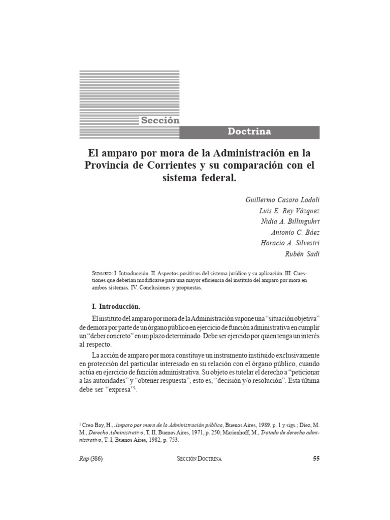 Amparo por Mora en Corrientes y Federal | PDF | Debido al proceso ...