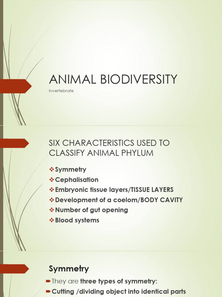 Cephalisation and Symmetry in Animals | PDF | Biology | Anatomy