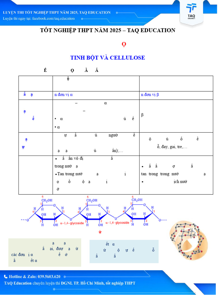 DA - 14.11.2024 THPT Hóa (Mới) - Tinh Bột Và Cellulose | PDF