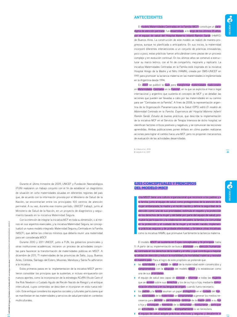MSCF 2ed Web Organized | PDF | Amamantamiento