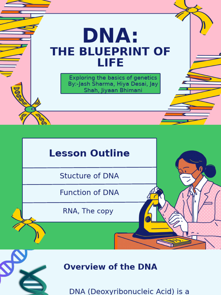 Structure of DNA Science | PDF | Rna | Dna
