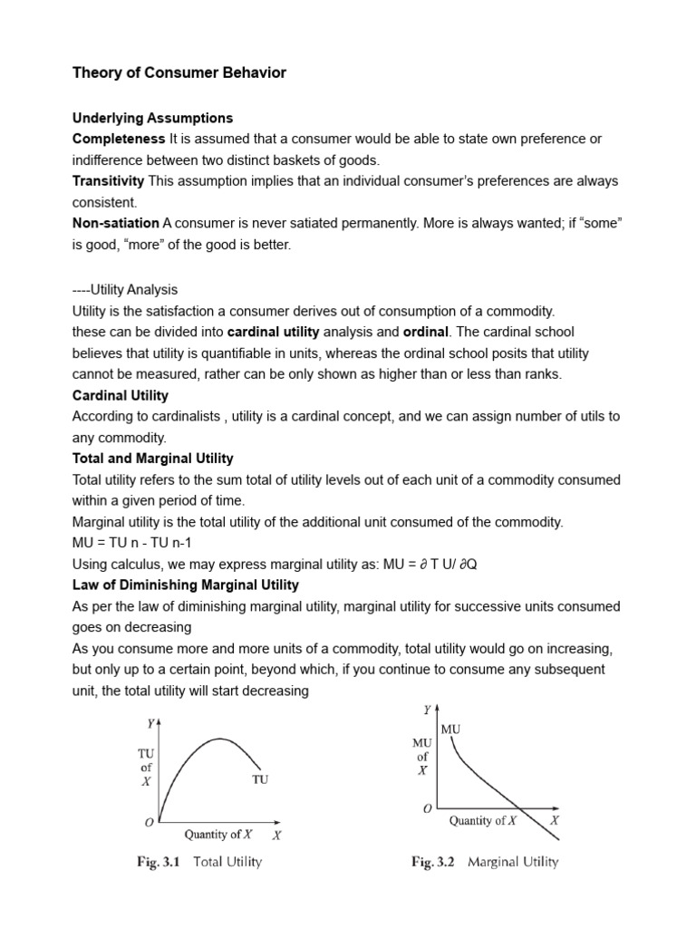 Understanding Consumer Behavior Theory | PDF | Utility | Marginal Utility