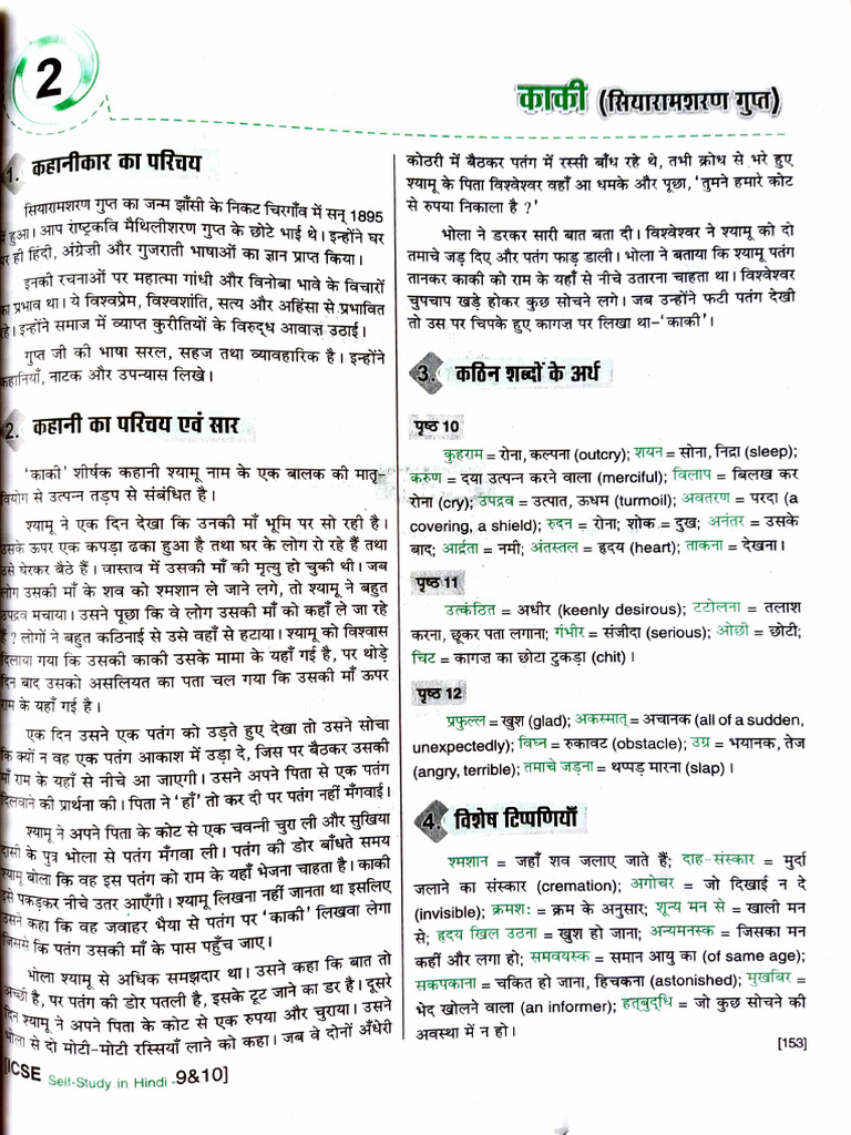Kaki Meaning and Usage in Hindi | PDF