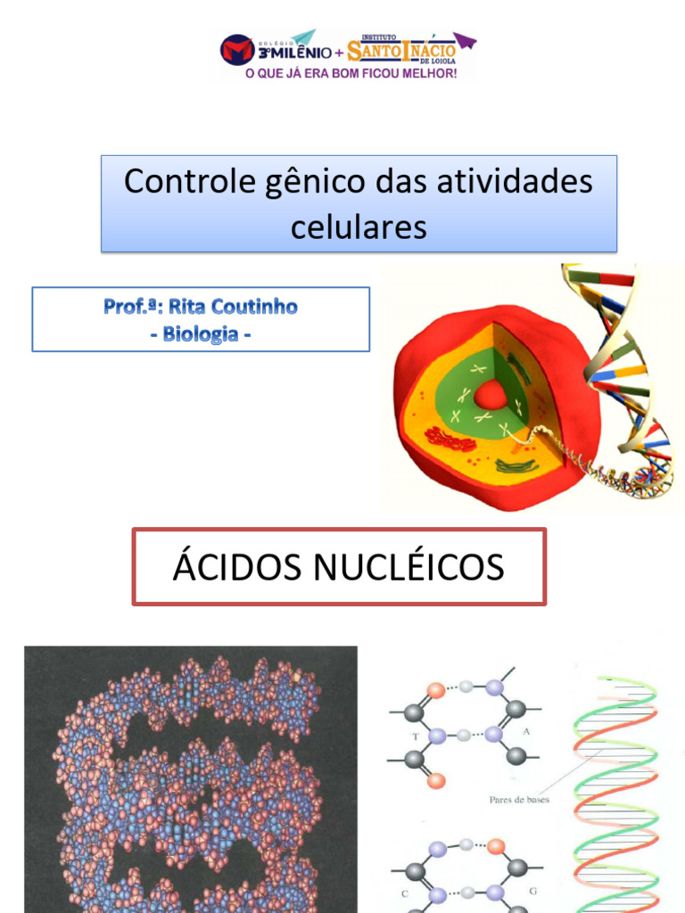 Controle Gênico e Estrutura dos Ácidos Nucléicos | PDF | RNA | Tradução ...