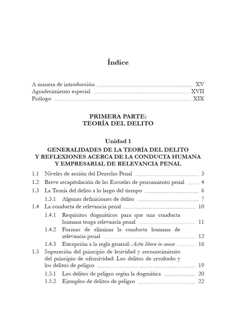 Teoría del Delito y la Pena en Derecho Penal | PDF | Derecho penal ...