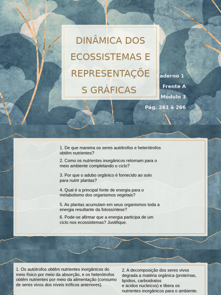 Dinâmica de ecossistemas e representações - Mod 3A | PDF | Biomassa ...