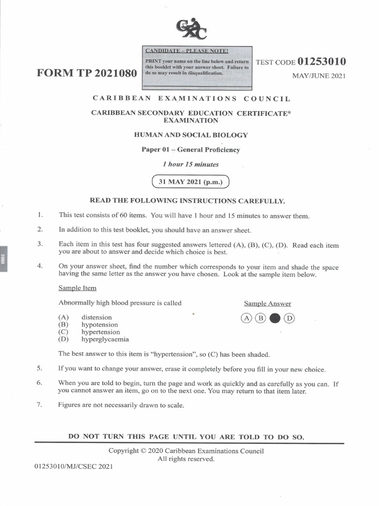 HSB 2021 Paper 1 Overview | PDF