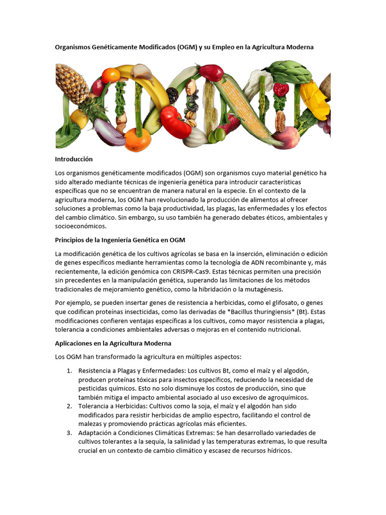 Organismos Genéticamente Modificados | PDF | Organismo genéticamente ...