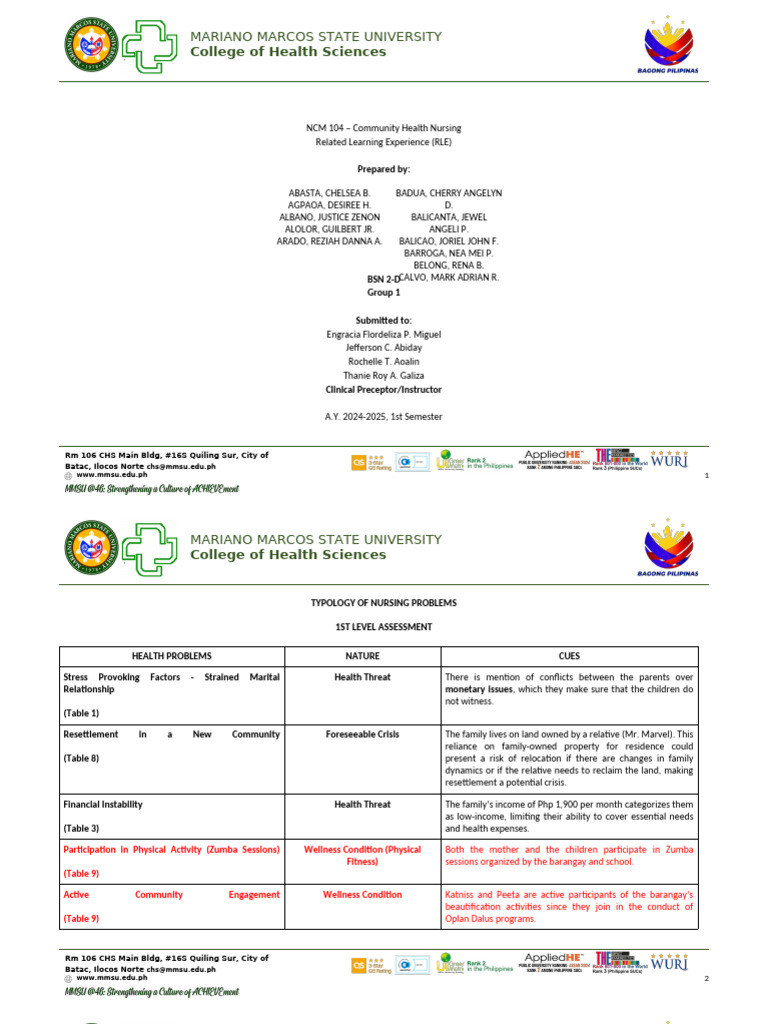 Community Health Nursing Assessment Report | PDF | Hazards | Sanitation