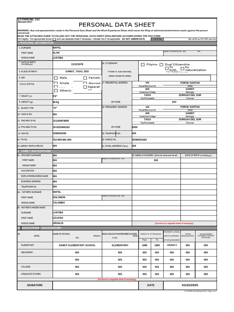 Personal Data Sheet Template | PDF | Government And Personhood | Justice
