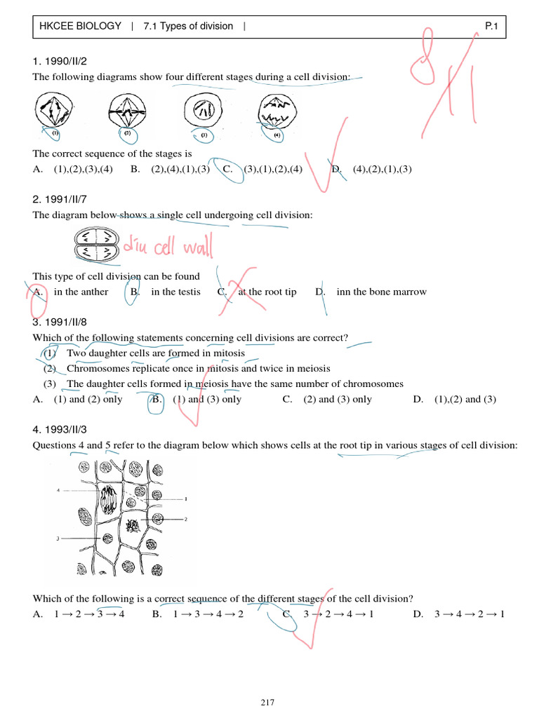 Cell Division Stages and Types Explained | PDF | Meiosis | Ploidy