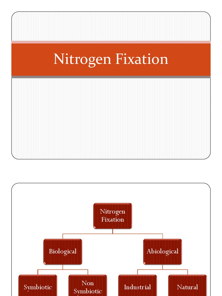 Biological Nitrogen Fixation | PDF