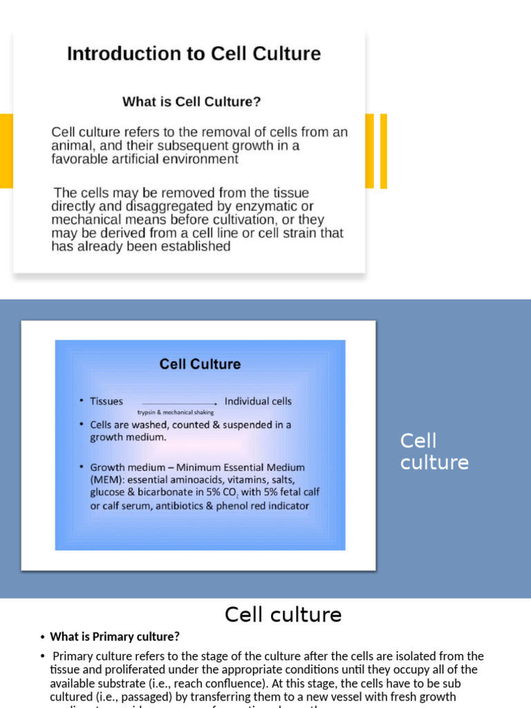 Understanding Cell and Tissue Culture | PDF | Cell Potency | Stem Cell