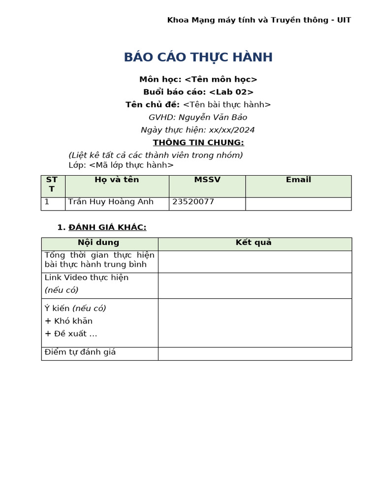 Report Template | PDF