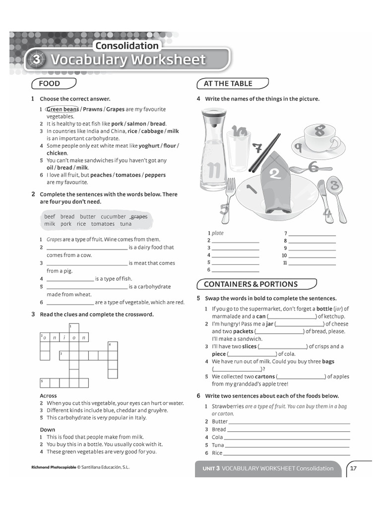 Vocab and Grammar Unit 3 | PDF