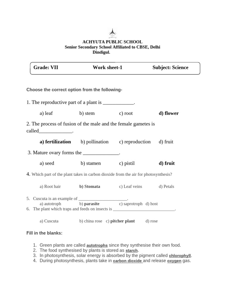 VII Biology Worksheet | PDF | Plants | Leaf