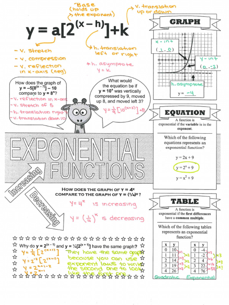 5 - Exponential Functions Doodle Sheet Solutions | PDF